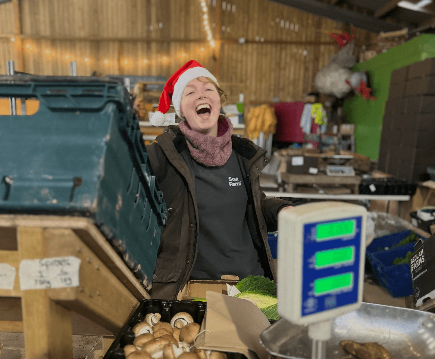 Christmas