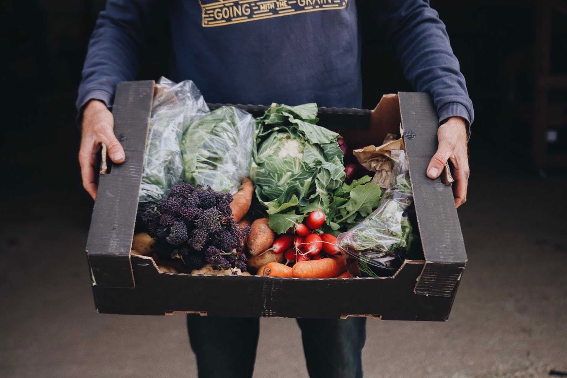 Welcome to the online farmers market