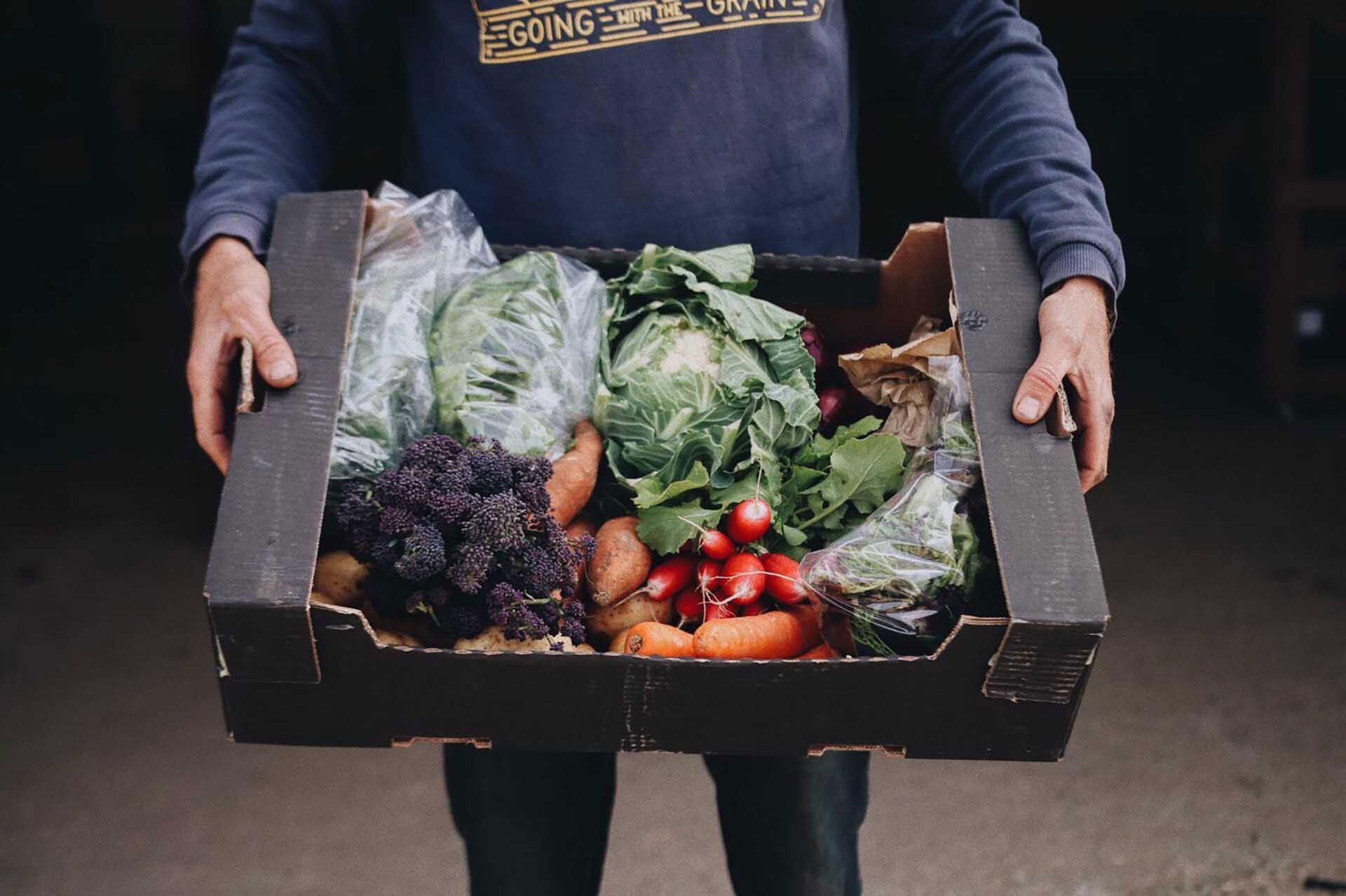 Organic food with a Cornish accent