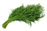 Dill