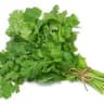 Coriander
