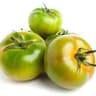 Tomato: Green