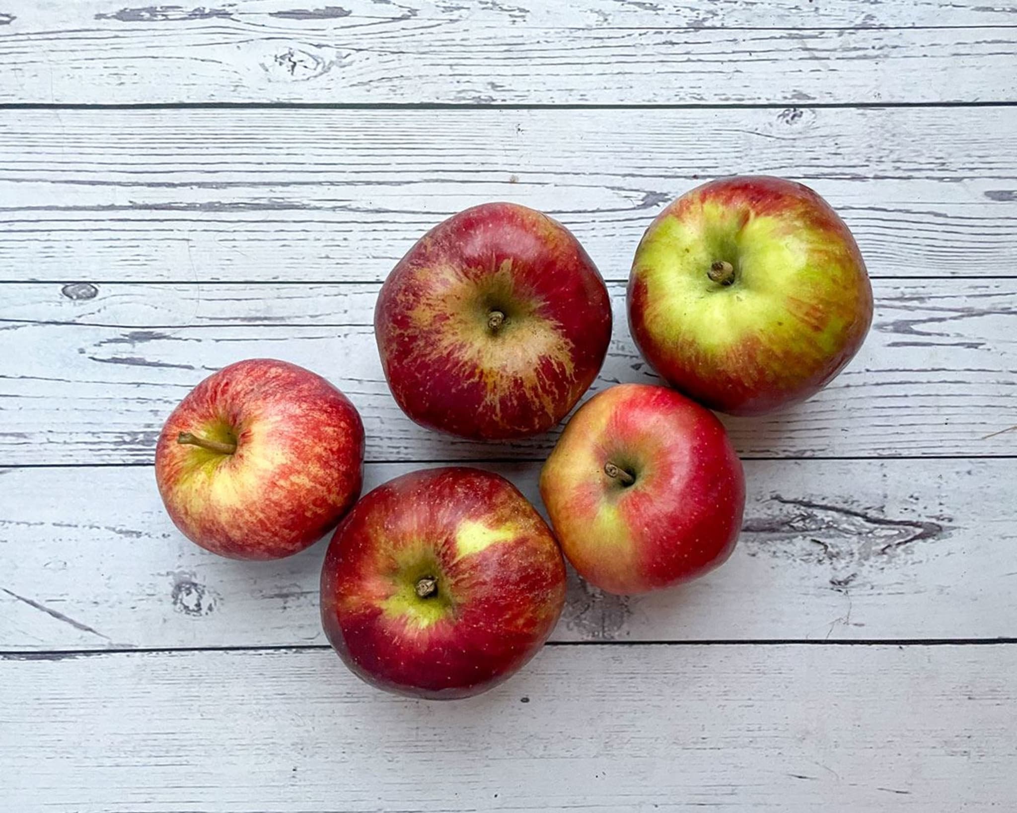 Apples 🇬🇧 (seasonal variety)