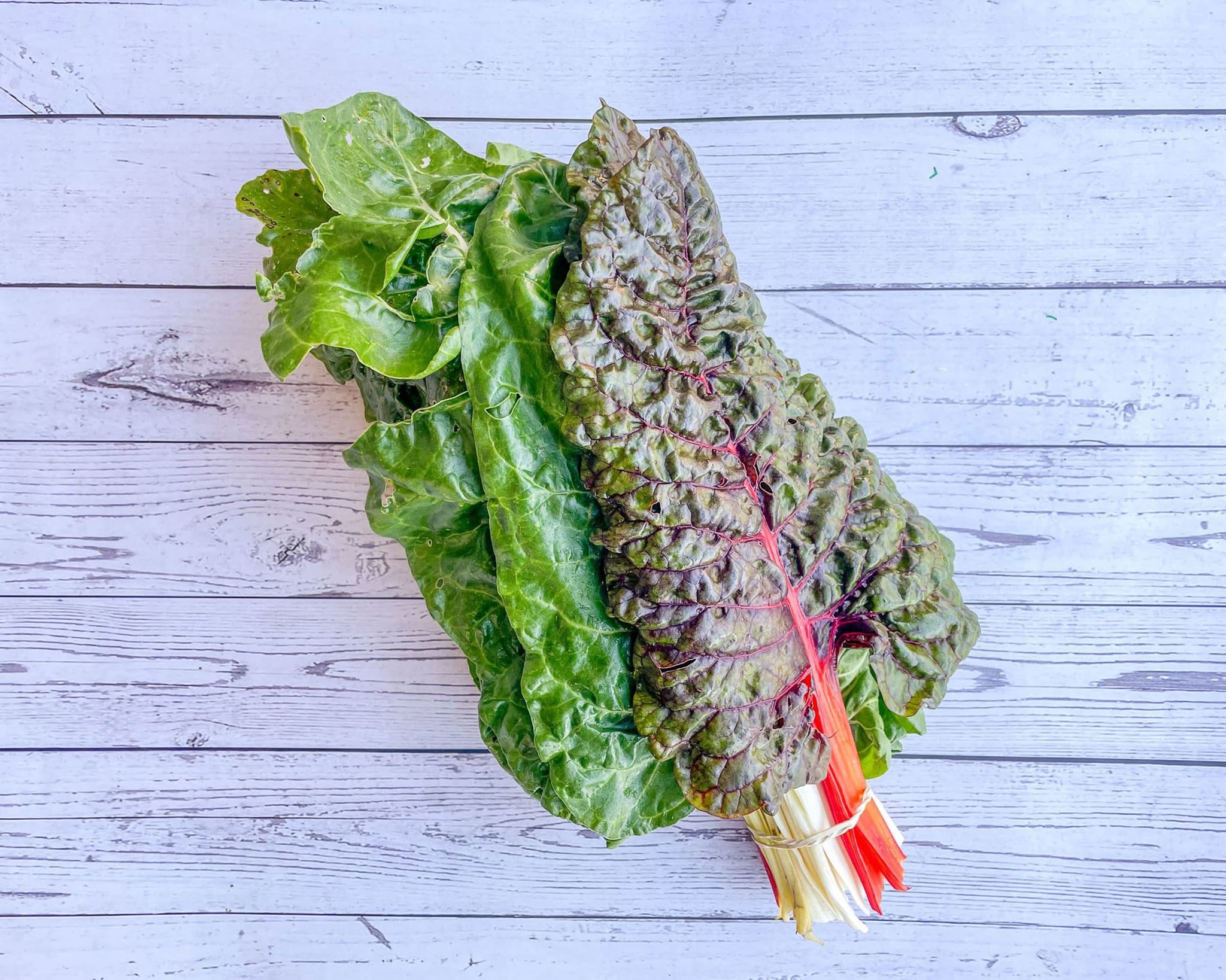 Chard