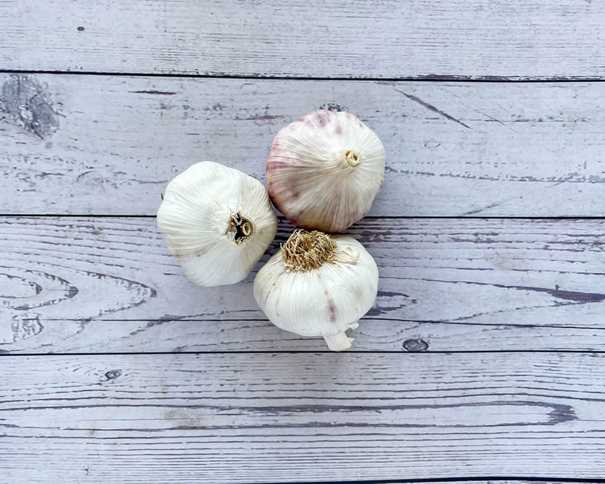 Garlic 🇪🇸