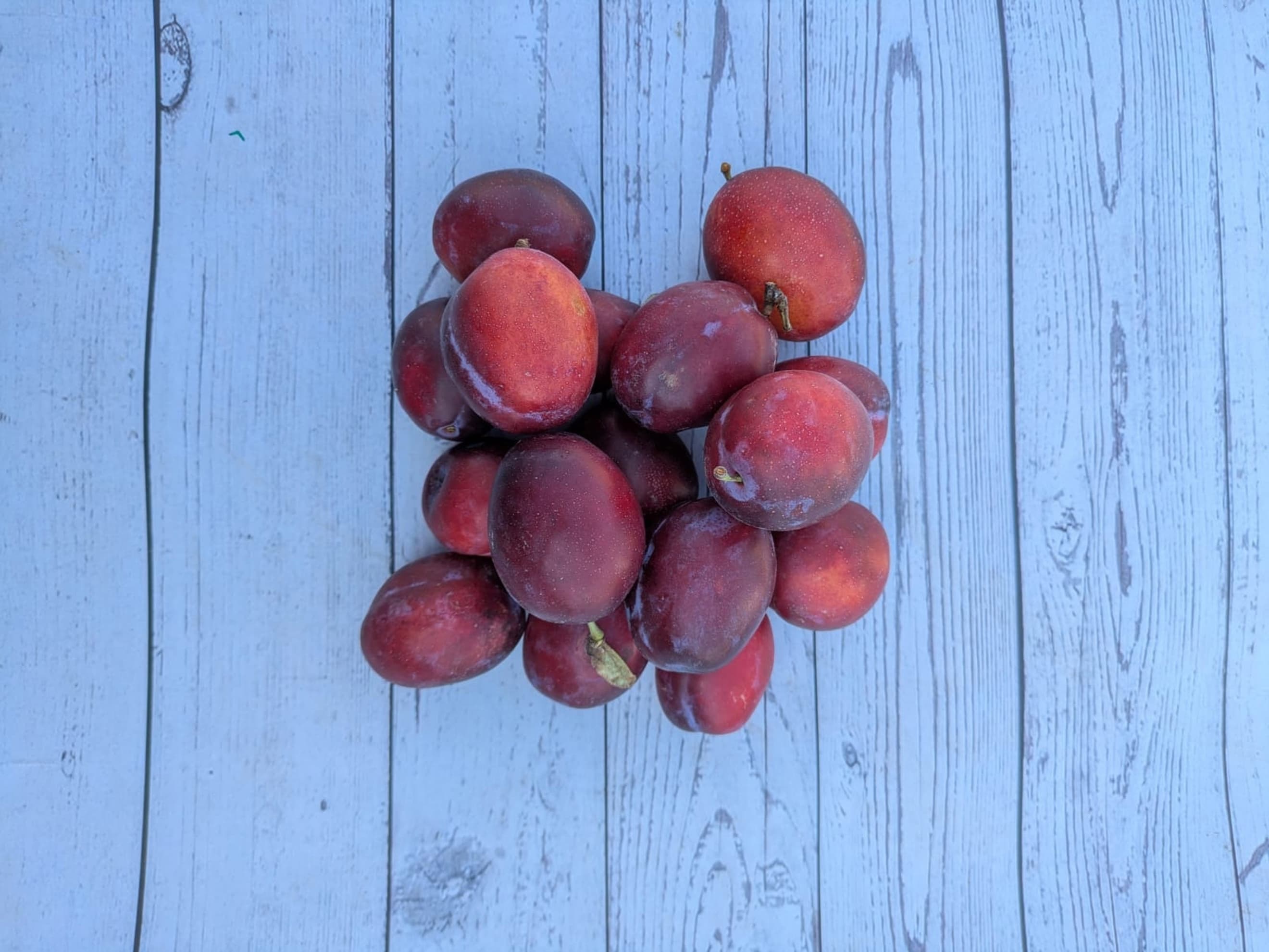 Plums 🇬🇧