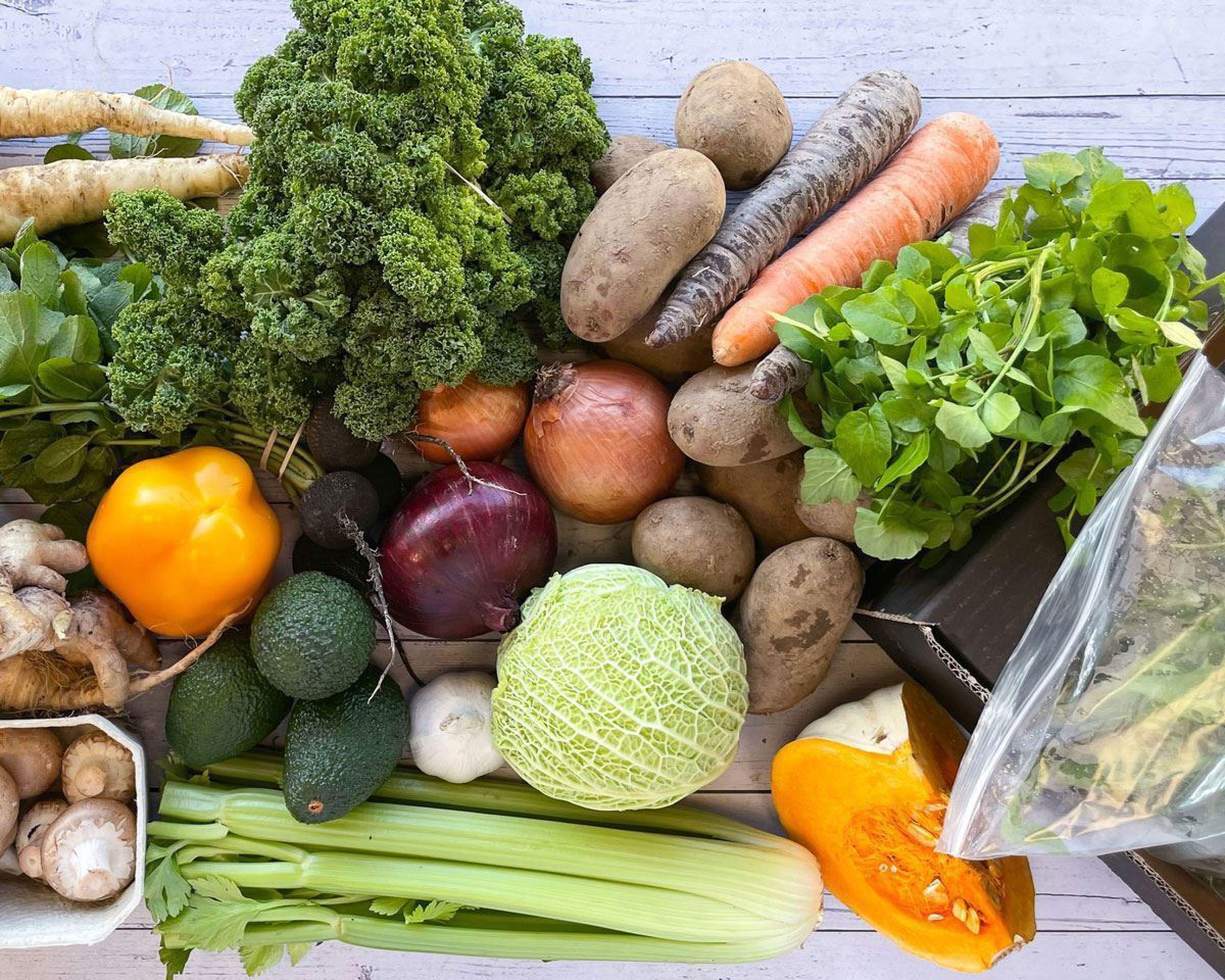 CSA Food Boxes