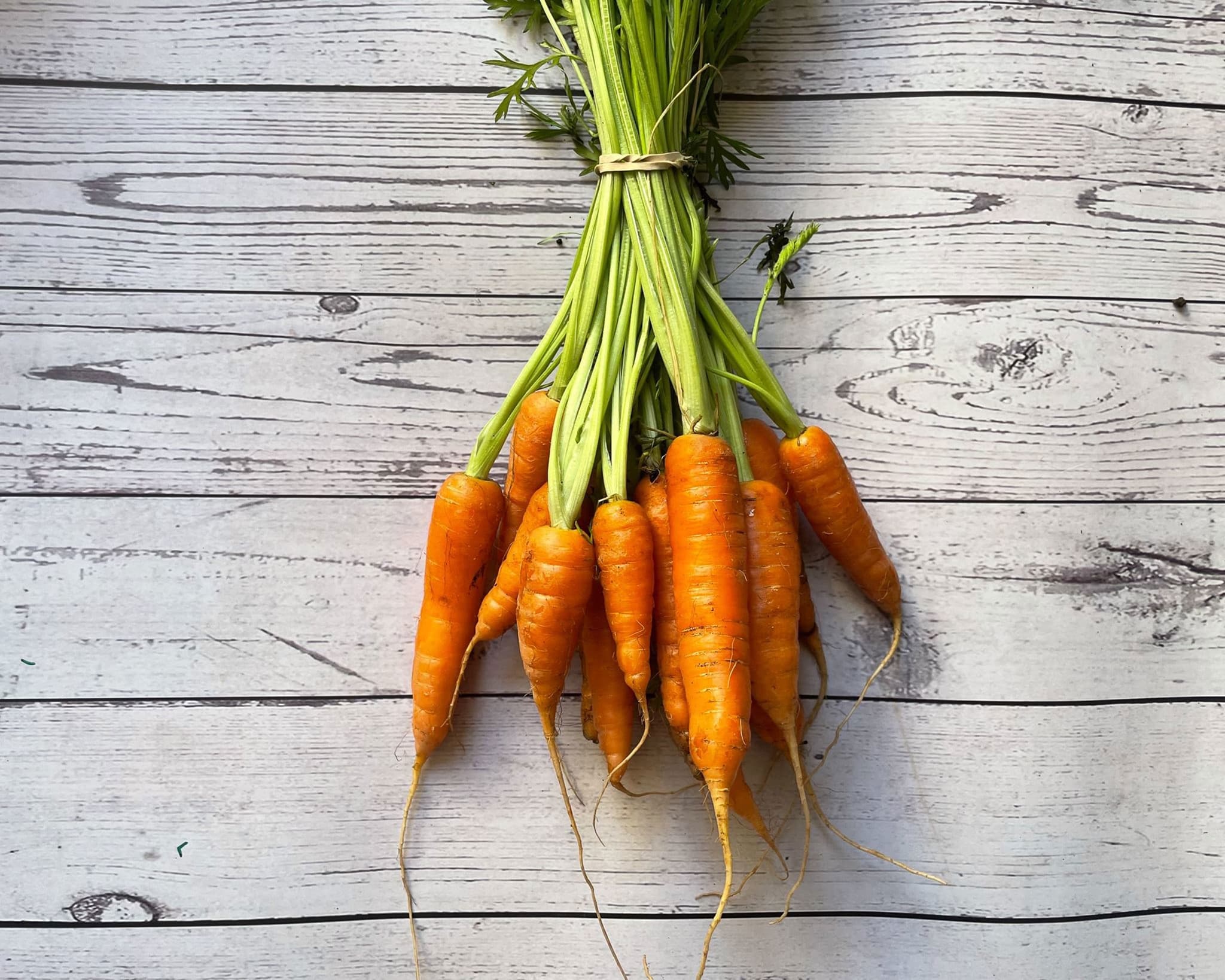 Carrots - Bunched 🇬🇧