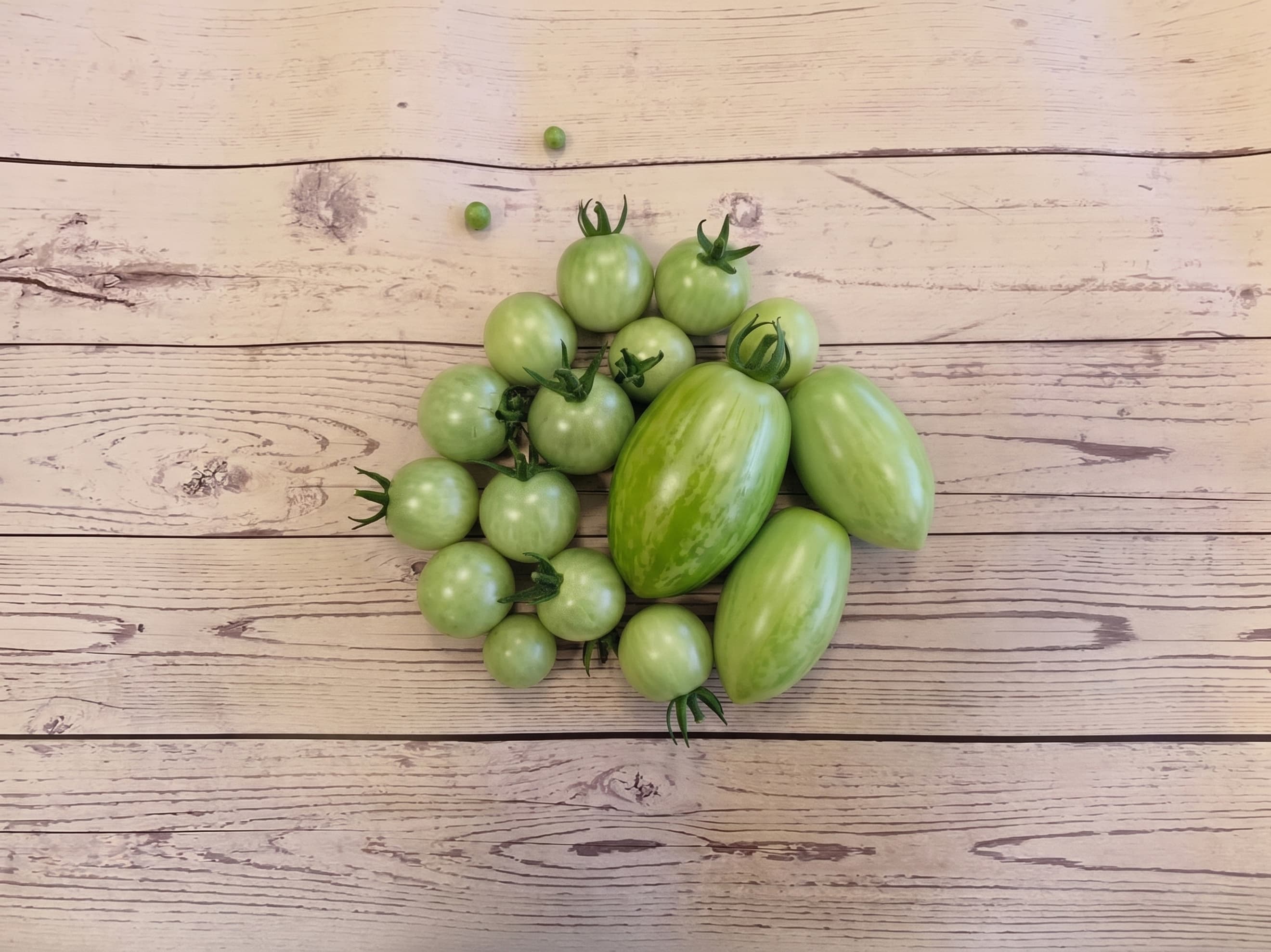 Green Tomatoes
