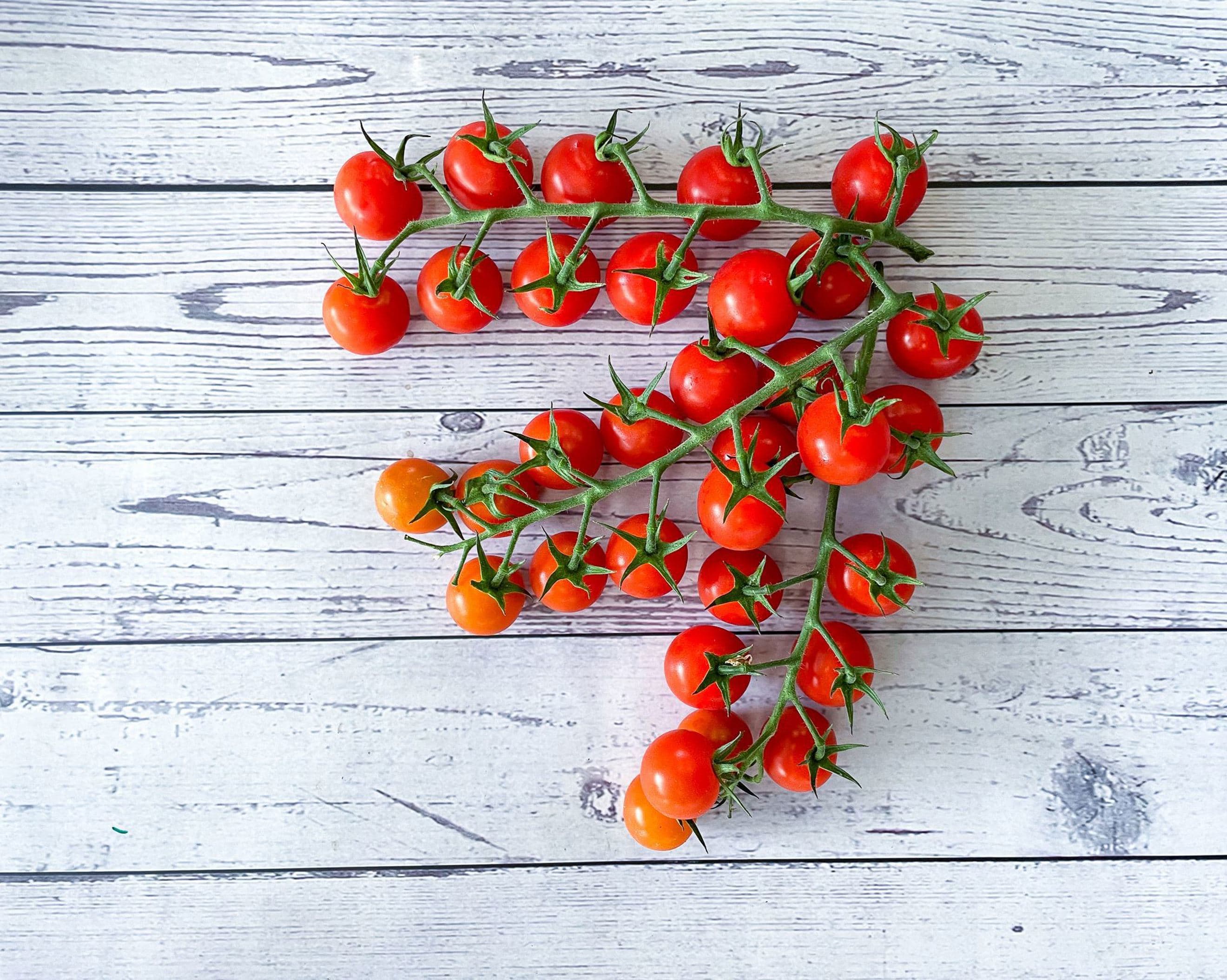 Tomato Cherry 🇬🇧